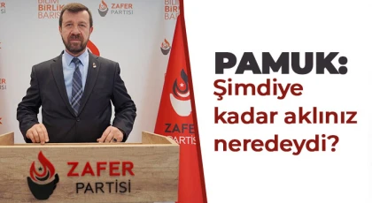 Pamuk: Şimdiye kadar aklınız neredeydi?