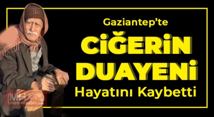 Asırlık Çınar’ın ölümü sevenlerini üzdü