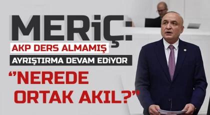 Meriç: AKP ders almamış ayrıştırma devam ediyor