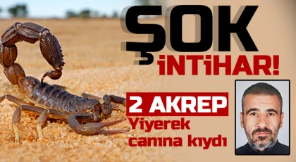Şok intihar! 2 akrep yiyen şahıs öldü