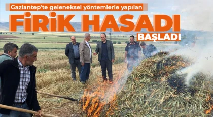 Buğdayı yakarak elde ediyorlar