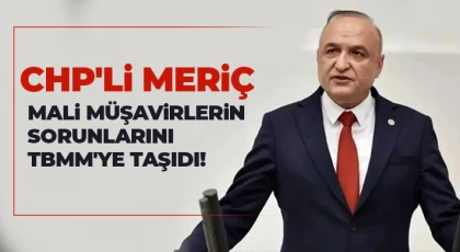 CHP'li Meriç Mali Müşavirlerin Sorunlarını TBMM'ye Taşıdı!