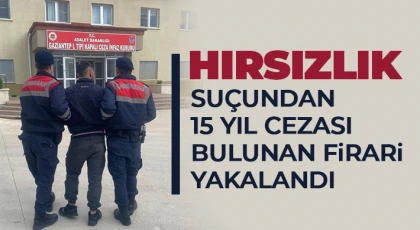 Hırsızlık suçundan 15 yıl cezası bulunan firari yakalandı