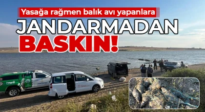 Yasağa rağmen balık avı yapanlara jandarmadan baskın