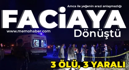 Aynı aileden 2 kişiyi öldürdükten sonra intihar etti