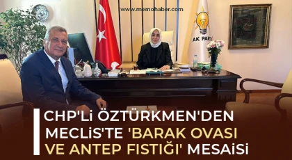 CHP'li Öztürkmen'den Meclis'te 'Barak Ovası ve Antep fıstığı' mesaisi