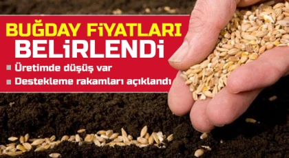 Destekleme rakamları açıklandı
