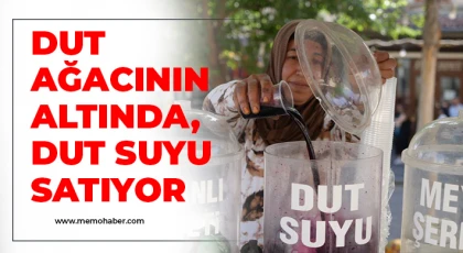 Dut ağacının altında, dut suyu satıyor