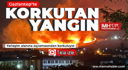 Gaziantep'in Kızılhisar bölgesinde yangın çıktı