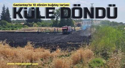 Gaziantep'te 10 dönüm buğday tarlası küle döndü