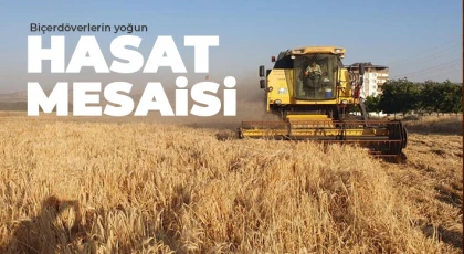 Gaziantep'te arpa ve buğday hasadı başladı