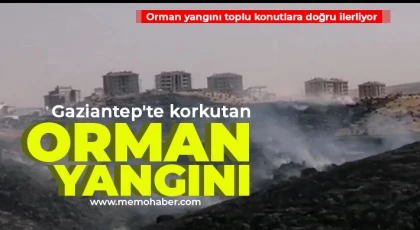 Gaziantep'te korkutan orman yangını