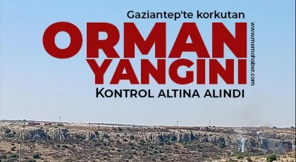 Gaziantep'te korkutan orman yangını kontrol altına alındı