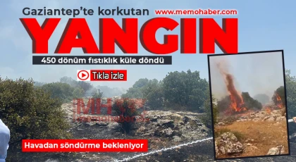Gaziantep'te korkutan yangın! Havadan söndürme bekleniyor