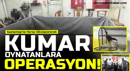 Gaziantep'te kumar oynayan 15 şahsa 96 bin TL ceza