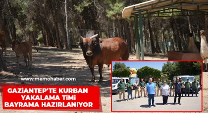 Gaziantep'te kurban yakalama timi bayrama hazırlanıyor