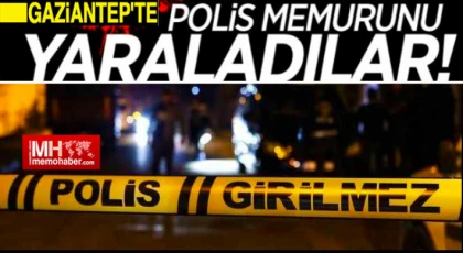 Gaziantep'te yine sokak kavgası: Ayırmaya çalışan polis kanlar içinde kaldı