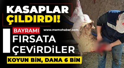 Kasaplar çıldırdı! Bayrama fırsata çevirdiler