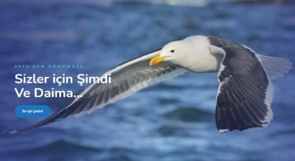 Kırgızca, Türkçe ve Özbekçenin Önemi