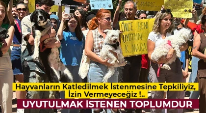 Uyutulmak istenen toplumdur