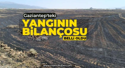 Yangın 15 bin dönüm alanı etkiledi, 250 araç ve 600 personel ile müdahale edildi