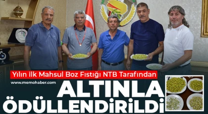 Yılın ilk Mahsul Boz Fıstığı NTB Tarafından Altınla Ödüllendirildi