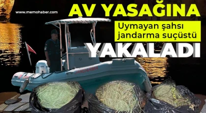 Av yasağına uymayan şahsı jandarma suçüstü yakaladı