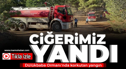 Dülükbaba Ormanı'nda korkutan yangın