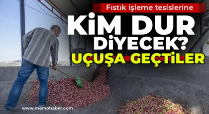 Fıstık işleme tesislerine kim dur diyecek?