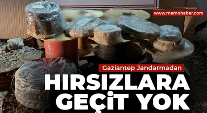 Gaziantep Jandarmadan hırsızlara geçit yok