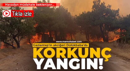 Gaziantep'in ciğerleri yanıyor