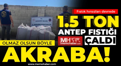 Gaziantep'te fıstık hırsızları devrede 