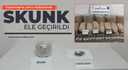 Gaziantep'te yolcu otobüsünde skunk ele geçirildi