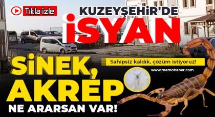 Kuzeyşehir'de sinek isyanı