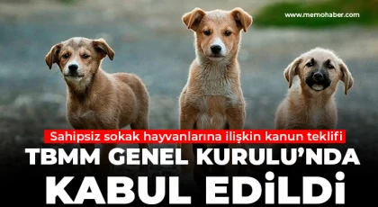 Sahipsiz sokak hayvanlarına ilişkin kanun teklifi TBMM Genel Kurulu’nda kabul edildi