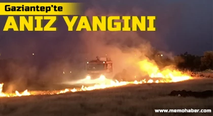 Anız Yangını Paniğe Neden Oldu!