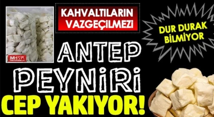 Antep Peynirinin fiyatı cep yakıyor!