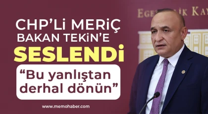 CHP’li Meriç Bakan Tekin’e Seslendi