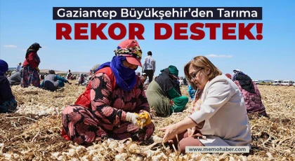 Çiftçiye 8 milyon 432 bin 925 litre mazot desteği verildi