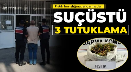 Fıstık hırsızlığına jandarmadan suçüstü: 3 tutuklama
