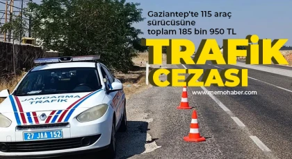 Gaziantep'te 115 araç sürücüsüne toplam 185 bin 950 TL trafik cezası