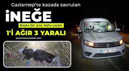  Kazada savrulan ineğe başka bir araç daha çarptı: 1'i ağır 3 yaralı