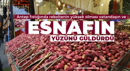 Yeni sezon mahsulü 'ben fıstıklar' tezgahlardaki yerini aldı