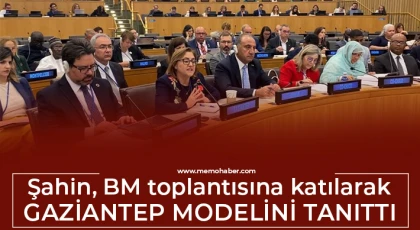 BM'ye Türkiye'den belediye başkanı olarak sadece Fatma Şahin katıldı