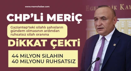 CHP'li Meriç: 44 milyon silahın 40 milyonu ruhsatsız