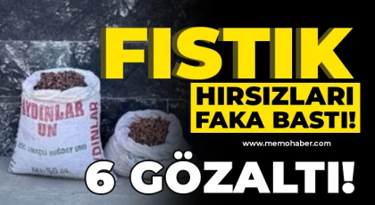 Fıstık hırsızı 6 şahsa jandarmadan suçüstü