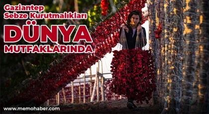 Gaziantep sebze kurutmalıkları dünya mutfaklarında