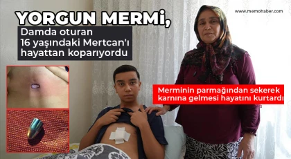 Günlerdir korkuları dinmeyen anne silah sıkanların bulunmasını istiyor