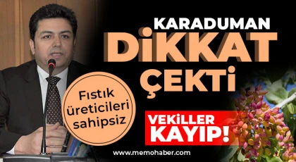 Karaduman: Fıstık üreticileri sahipsiz