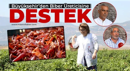 Büyükşehir’den Biber Üreticisine Destek